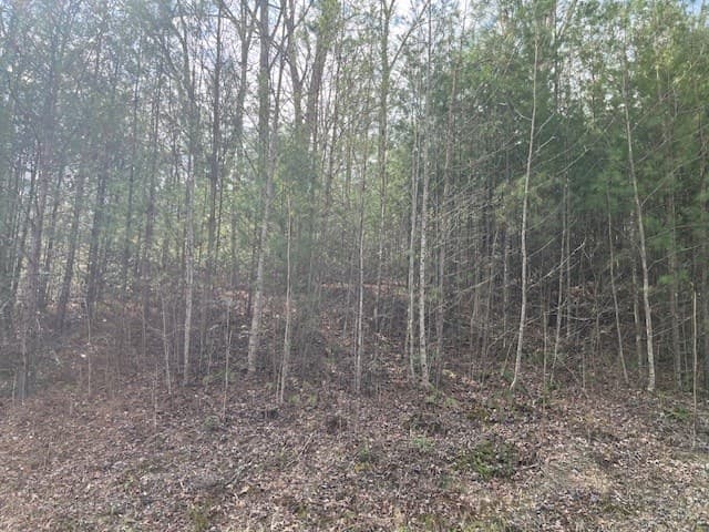 Lot 10 Lower Fox Trail Road, Blairsville GA 30512 - Photo