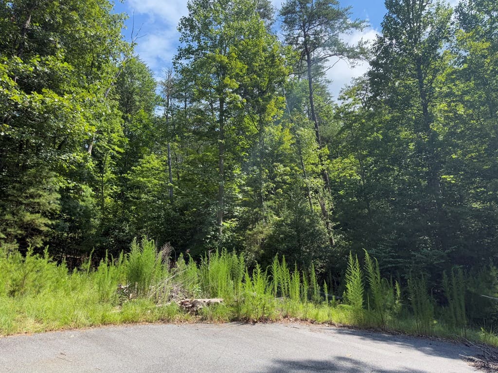 Lot 106 Asheland Cove, Young Harris GA 30582 - Photo