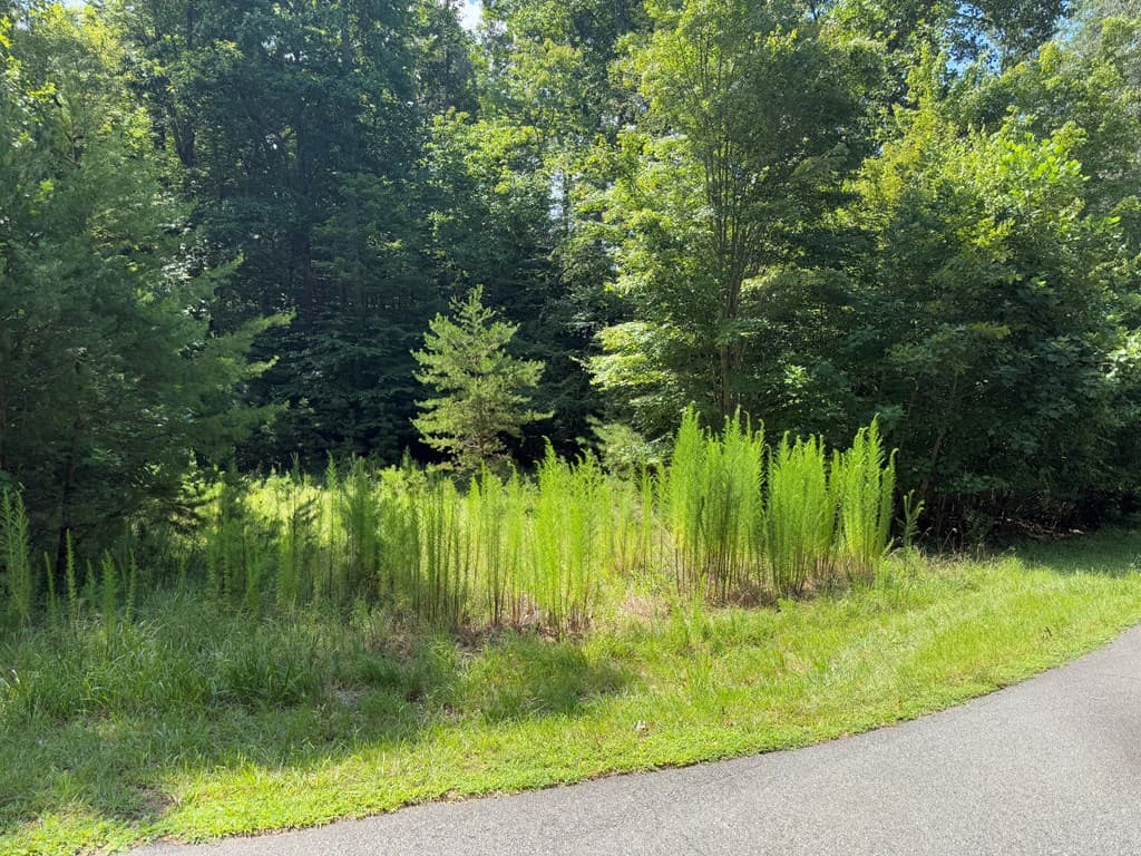Lot 106 Asheland Cove, Young Harris GA 30582 - Photo