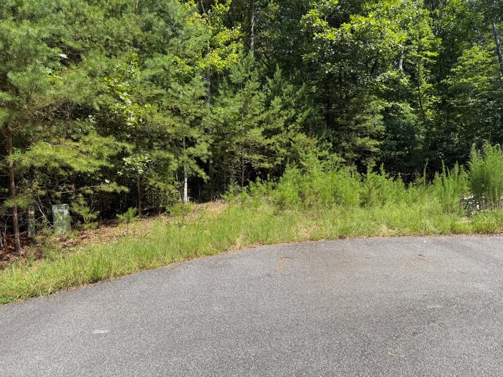 Lot 106 Asheland Cove, Young Harris GA 30582 - Photo