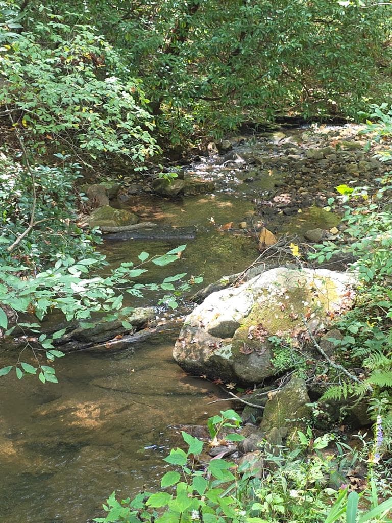 Lot 6 Heatherwood Way, Talking Rock GA 30175 - Photo