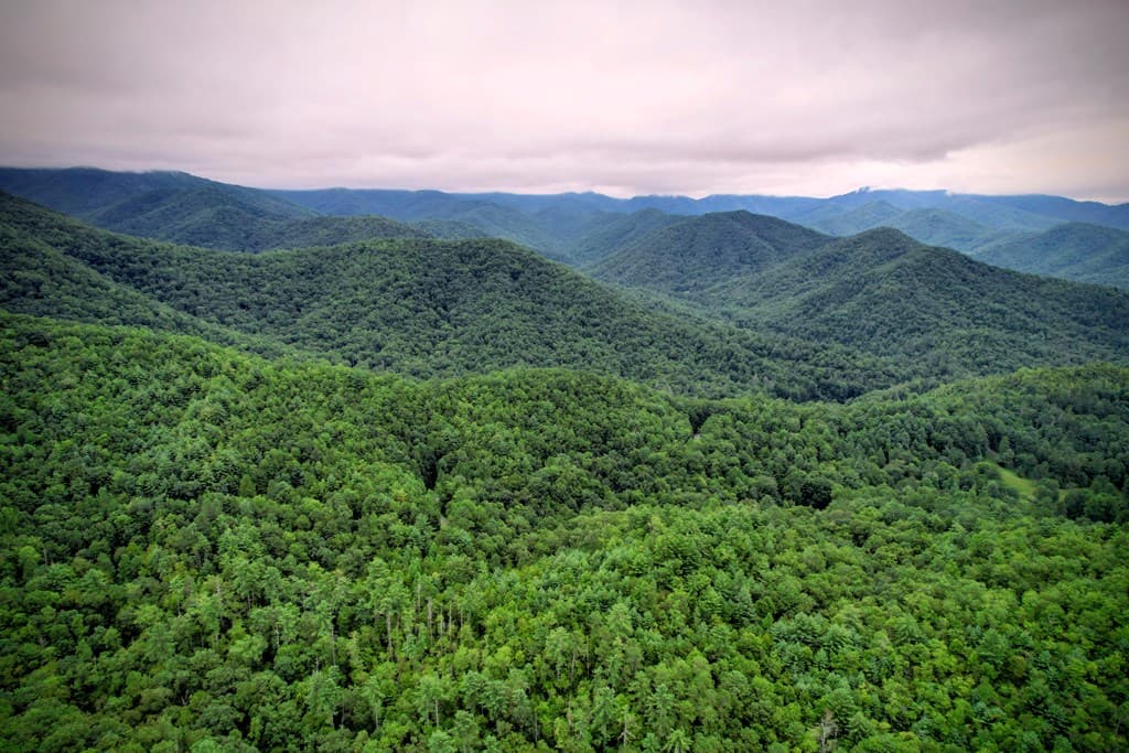 0 Flea Mountain Road, Murphy NC 28906 - Photo
