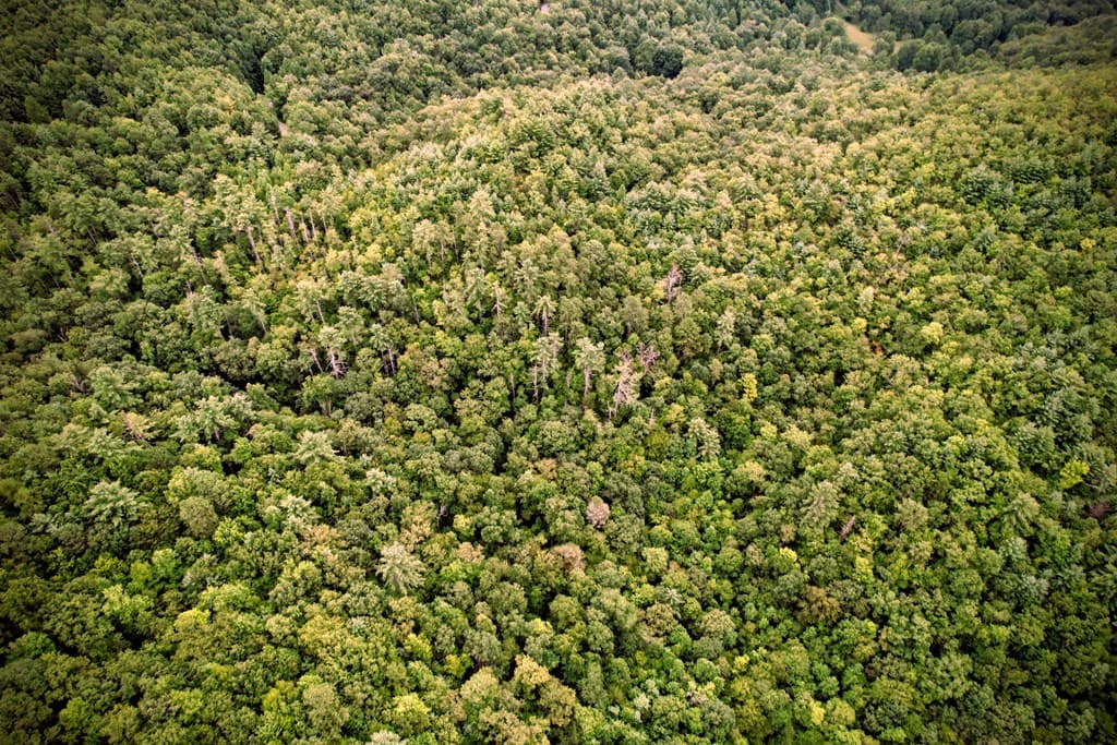 0 Flea Mountain Road, Murphy NC 28906 - Photo