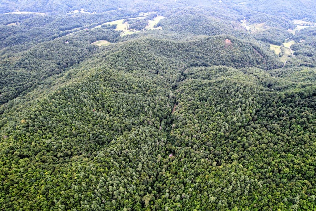 0 Flea Mountain Road, Murphy NC 28906 - Photo