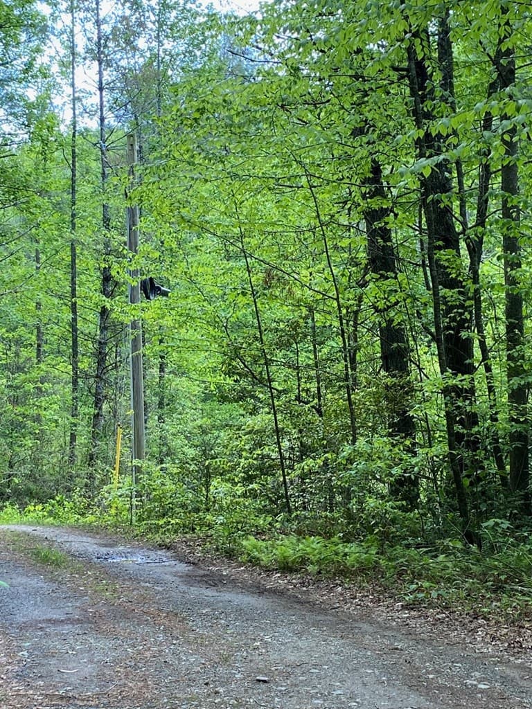 0 Flea Mountain Road, Murphy NC 28906 - Photo