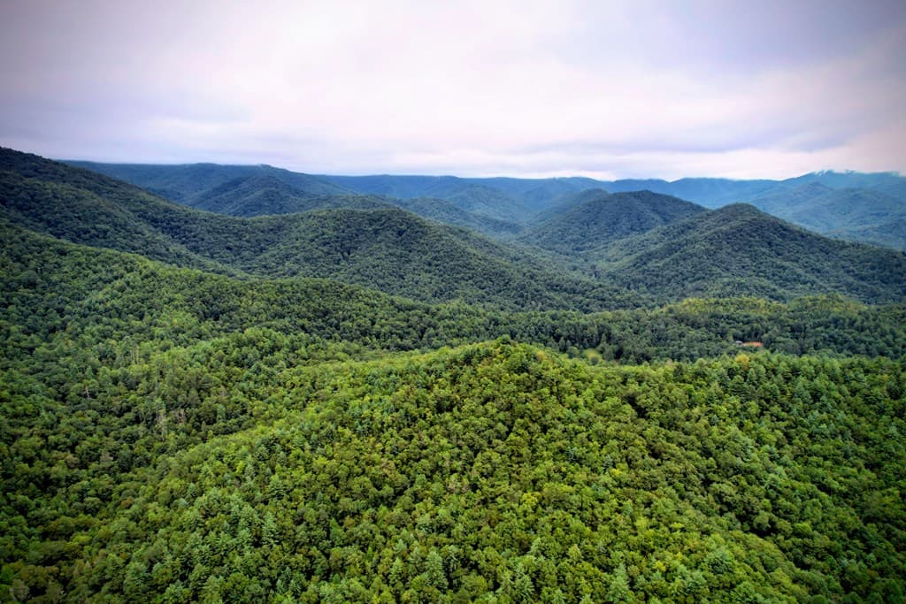 0 Flea Mountain Road, Murphy NC 28906 - Photo