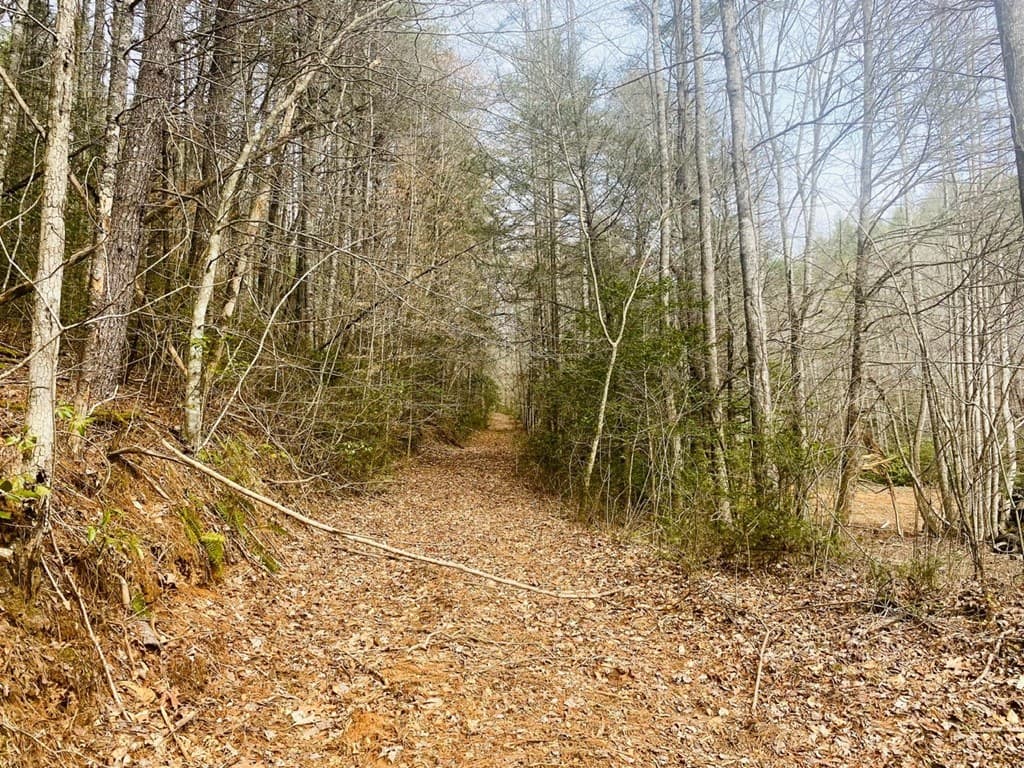 0 Flea Mountain Road, Murphy NC 28906 - Photo