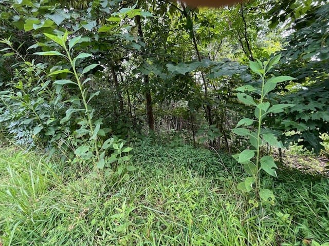 Lot 12 Forest View Drive, Hiawassee GA 30546 - Photo