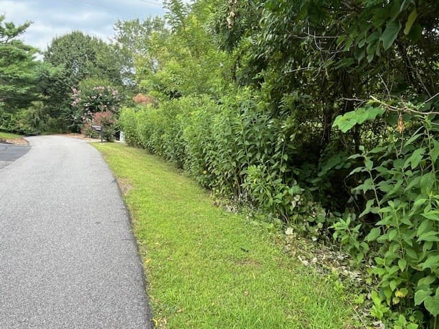 Lot 12 Forest View Drive, Hiawassee GA 30546 - Photo