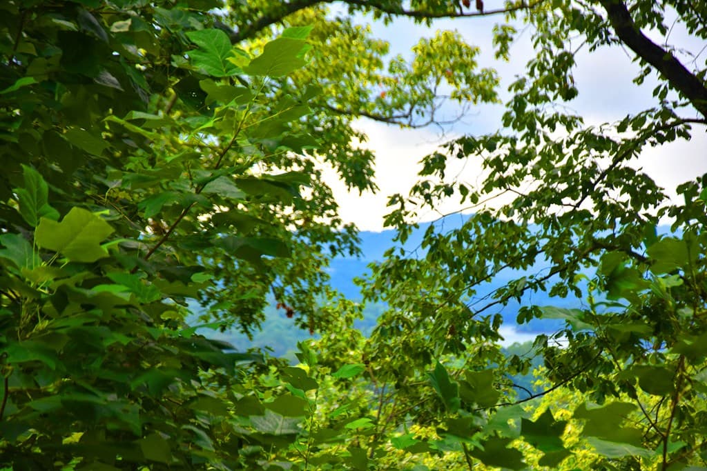85 Little Deer Run, Hayesville NC 28904 - Photo