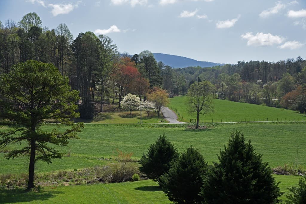 397 Everetts View, Blairsville GA 30512 - Photo