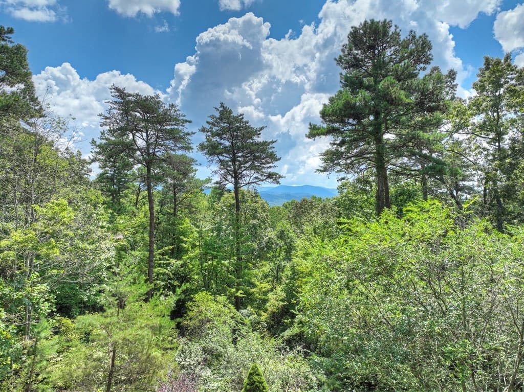 120 Foxfire Road, Blue Ridge GA 30513 - Photo