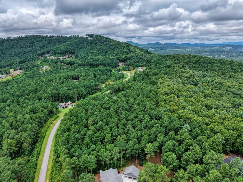 Lot 169 Thirteen Hundred, Blairsville GA 30512 - Photo