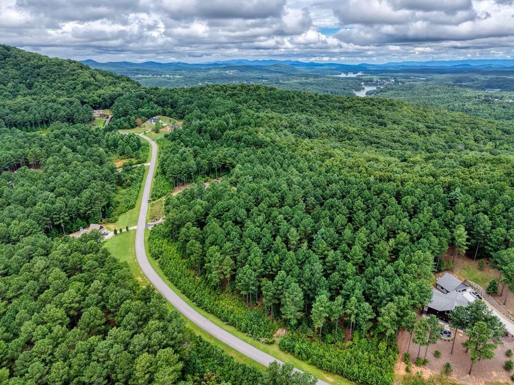 Lot 169 Thirteen Hundred, Blairsville GA 30512 - Photo