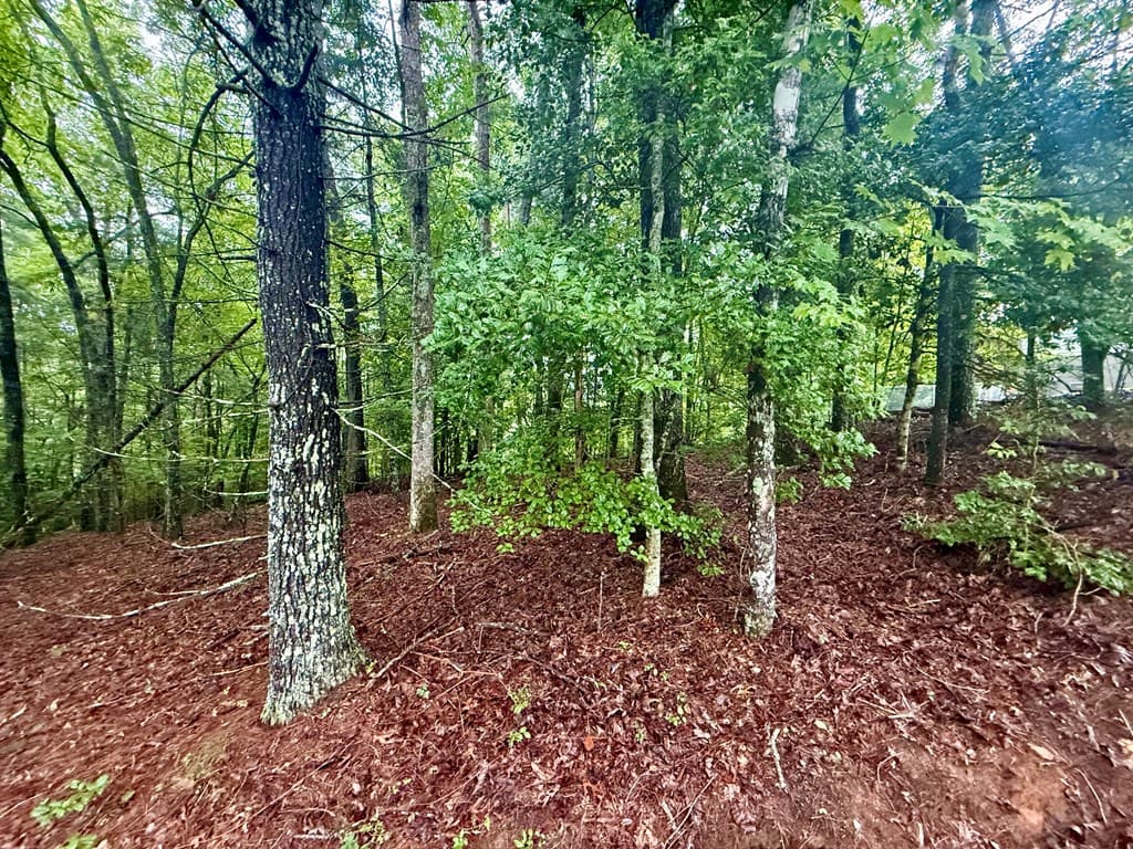 Lot 15 White Pine Drive, Hayesville NC 28904 - Photo