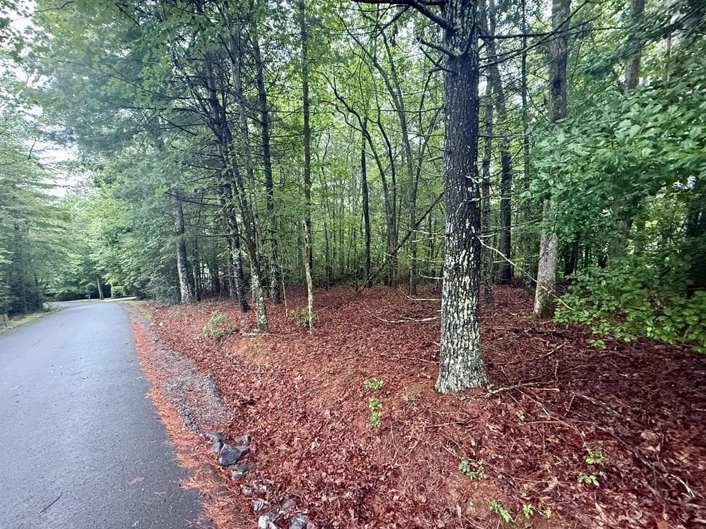 Lot 15 White Pine Drive, Hayesville NC 28904 - Primary photo