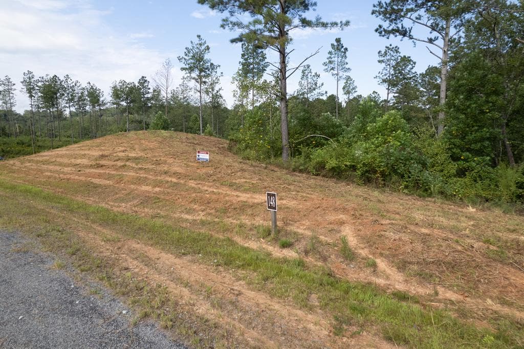 Lot 148 Eddy Waters Circle, Talking Rock GA 30175 - Photo