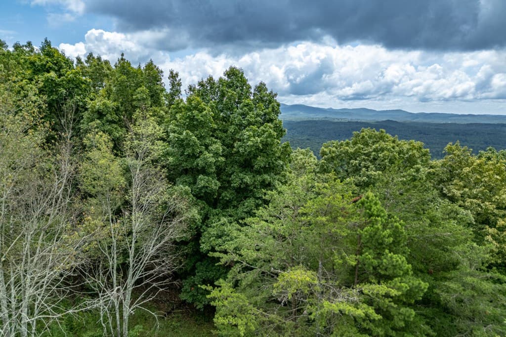 Lot T-5 Talona Mountain Road, Ellijay GA 30563 - Photo