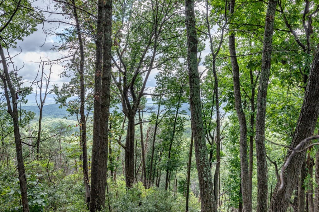 Lot T-5 Talona Mountain Road, Ellijay GA 30563 - Photo