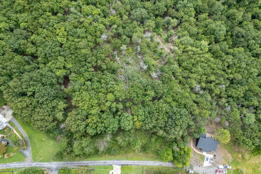 Lot T-5 Talona Mountain Road, Ellijay GA 30563 - Photo