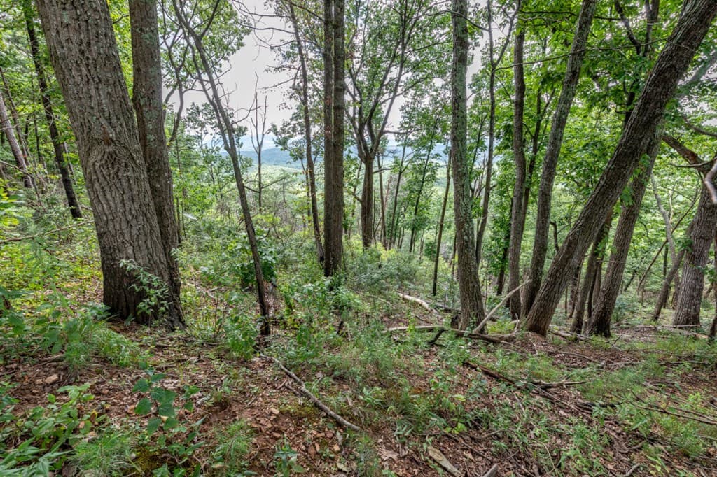 Lot T-5 Talona Mountain Road, Ellijay GA 30563 - Photo