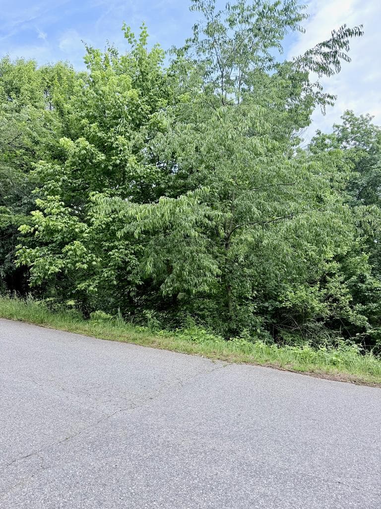 Lot 10 Chatuge Shores Overlook, Hayesville NC 28904 - Photo