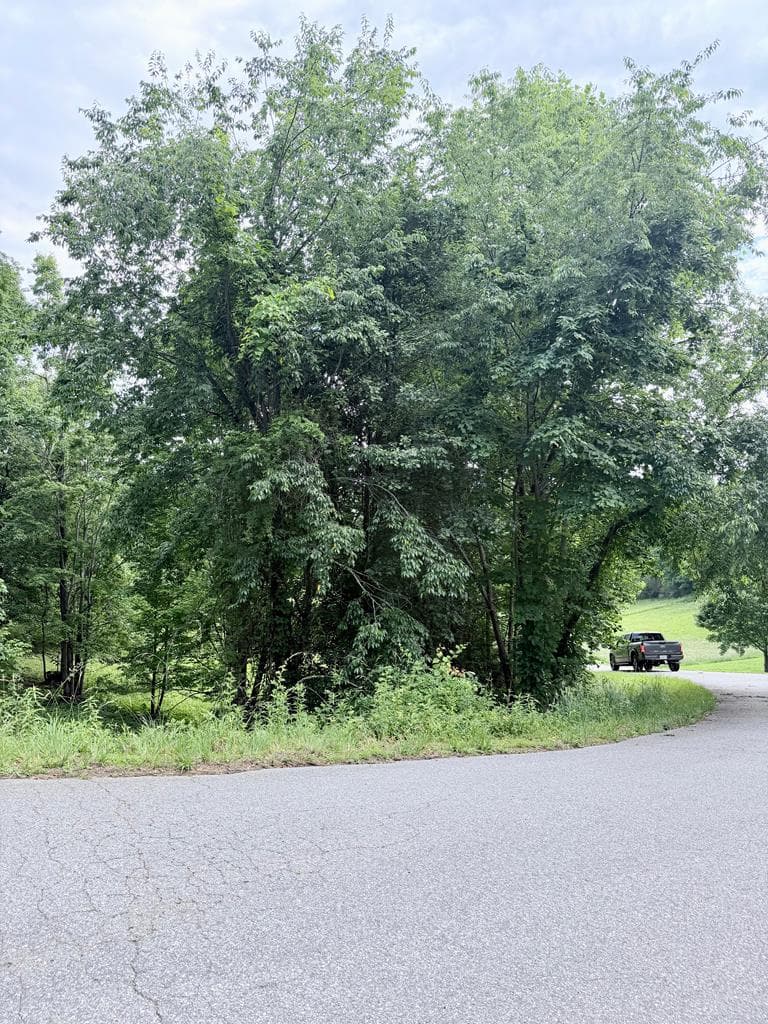 Lot 10 Chatuge Shores Overlook, Hayesville NC 28904 - Photo