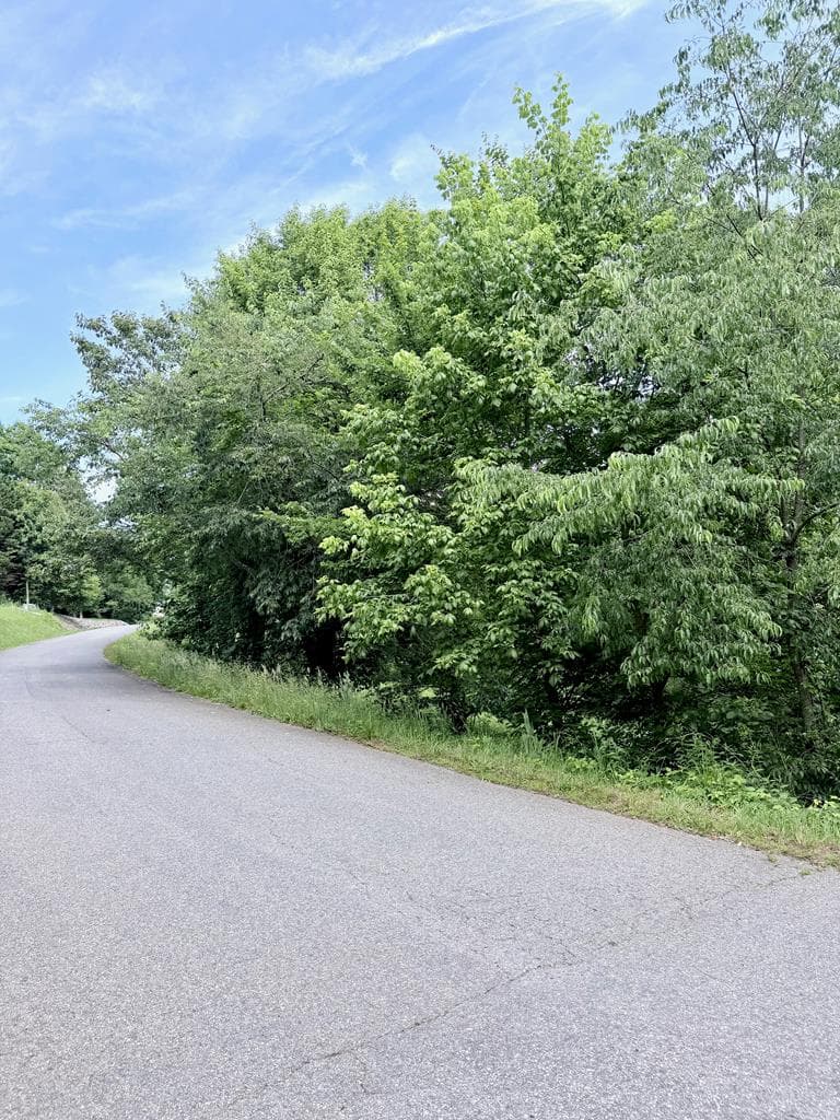 Lot 10 Chatuge Shores Overlook, Hayesville NC 28904 - Photo
