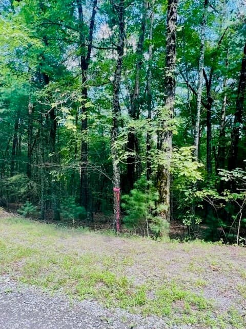 Lot 42 Squirrel Hunting Road, Ellijay GA 30540 - Photo