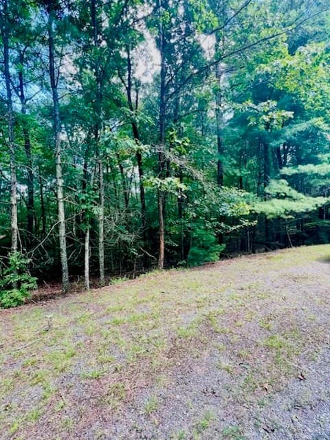 Lot 42 Squirrel Hunting Road, Ellijay GA 30540 - Photo