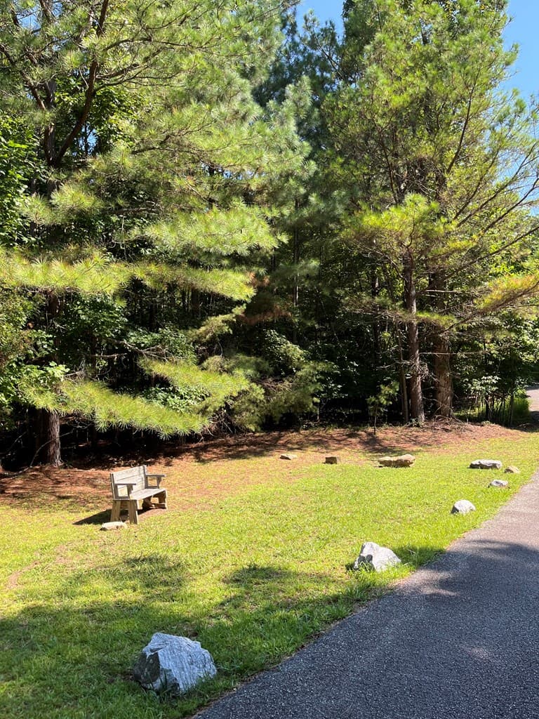 Lot 17 Hidden Branch Drive, Young Harris GA 30582 - Photo