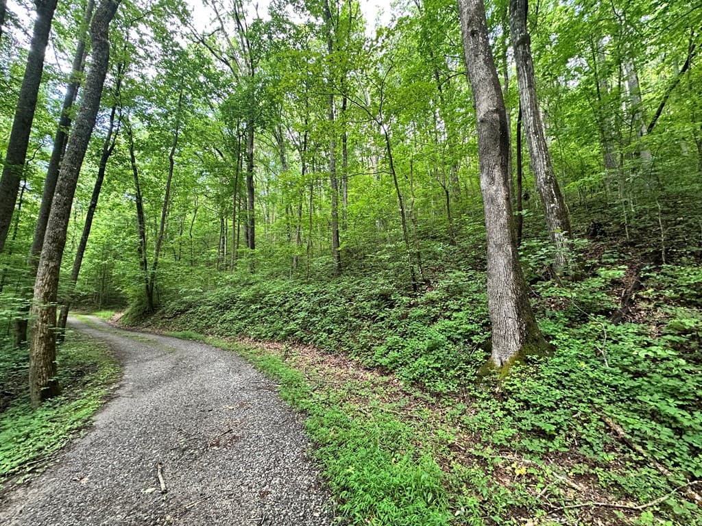 Lot 19 Burnt Leaf, Hayesville NC 28904 - Photo