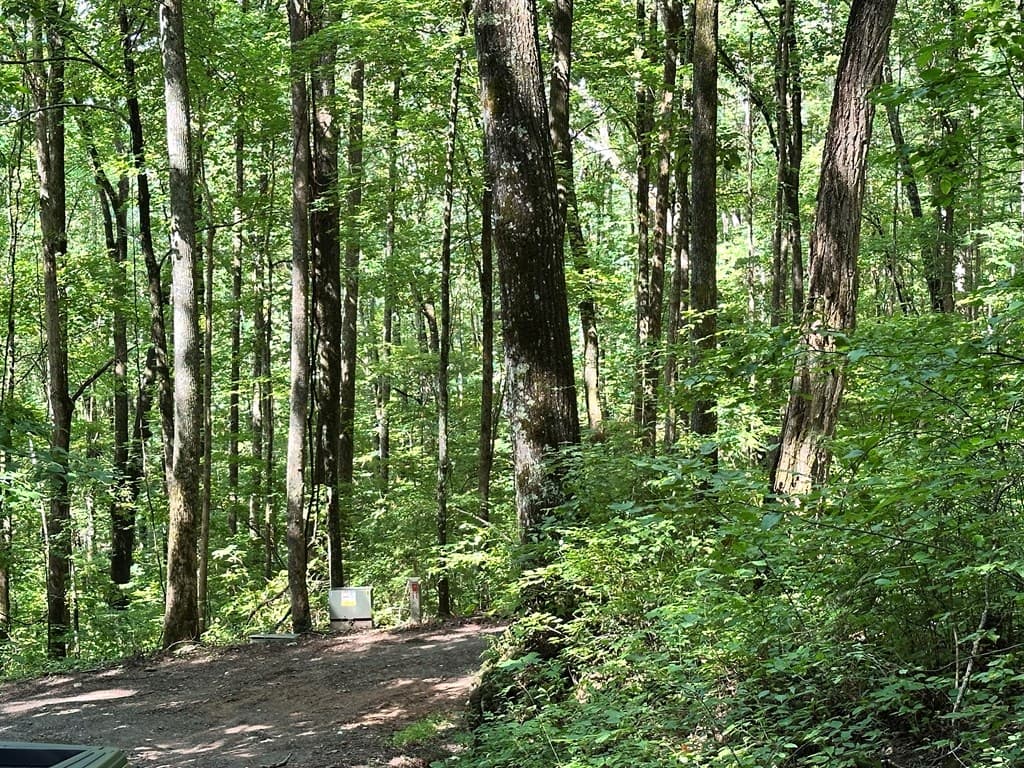 Lot 19 Burnt Leaf, Hayesville NC 28904 - Photo