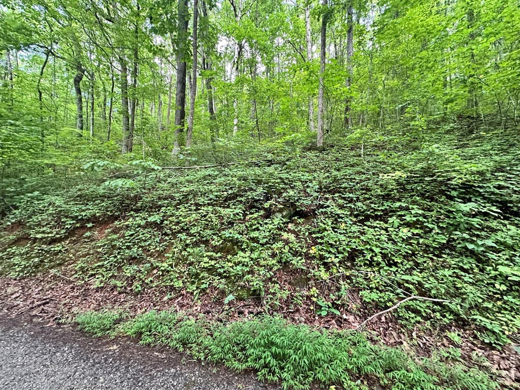 Lot 19 Burnt Leaf, Hayesville NC 28904 - Photo