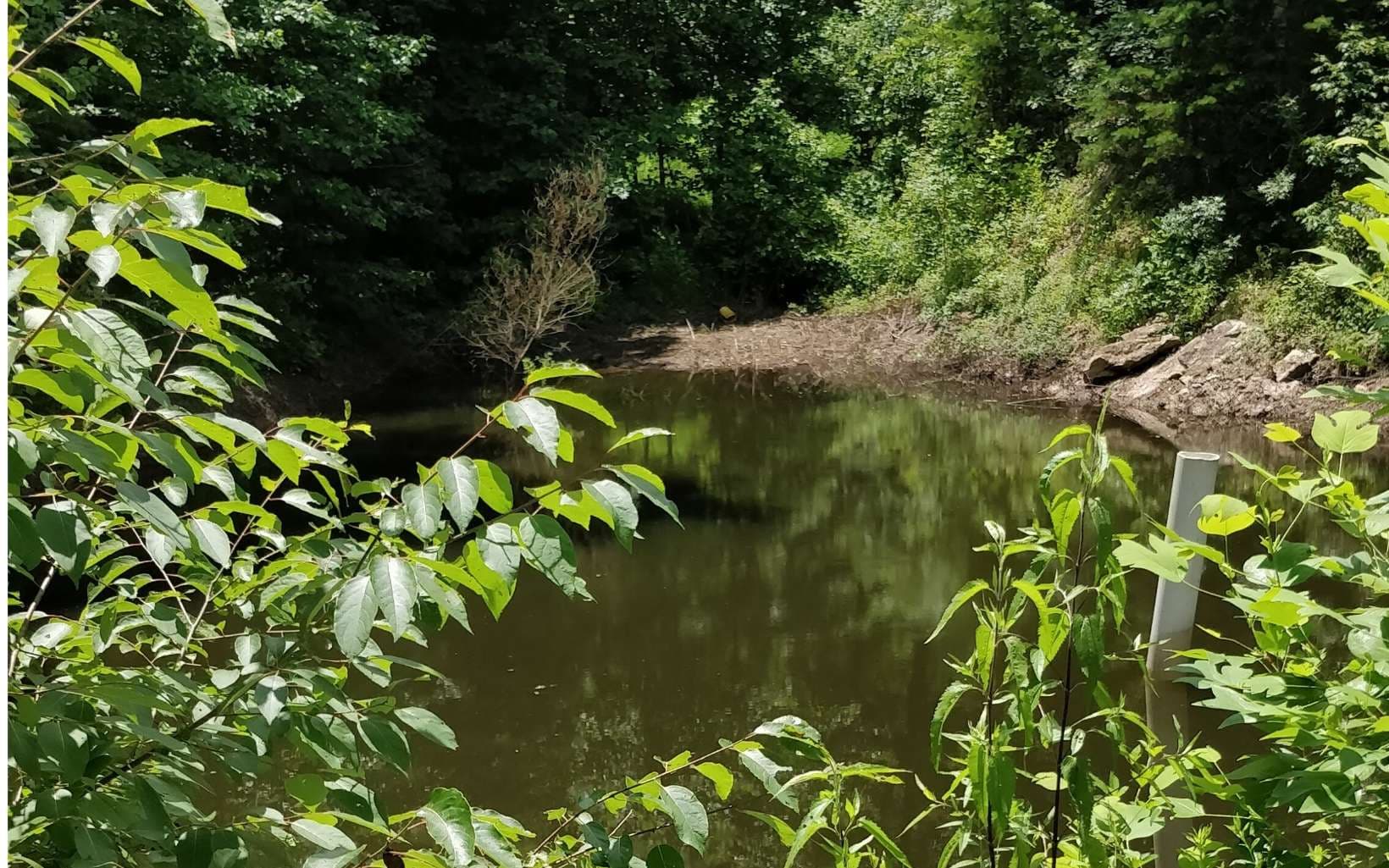 14 AC Old Burnt Mountain, Ellijay GA 30540 - Photo
