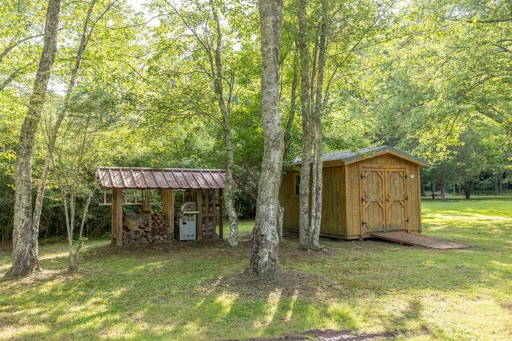 141 Friendship Lane, Mineral Bluff GA 30559 - Photo