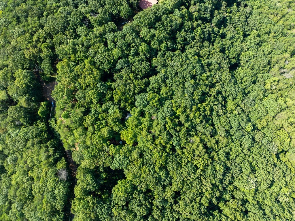 Lot 9 Brushy Top Drive, Chatsworth GA 30705 - Photo