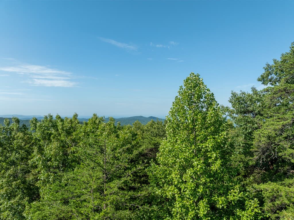 Lot 9 Brushy Top Drive, Chatsworth GA 30705 - Photo