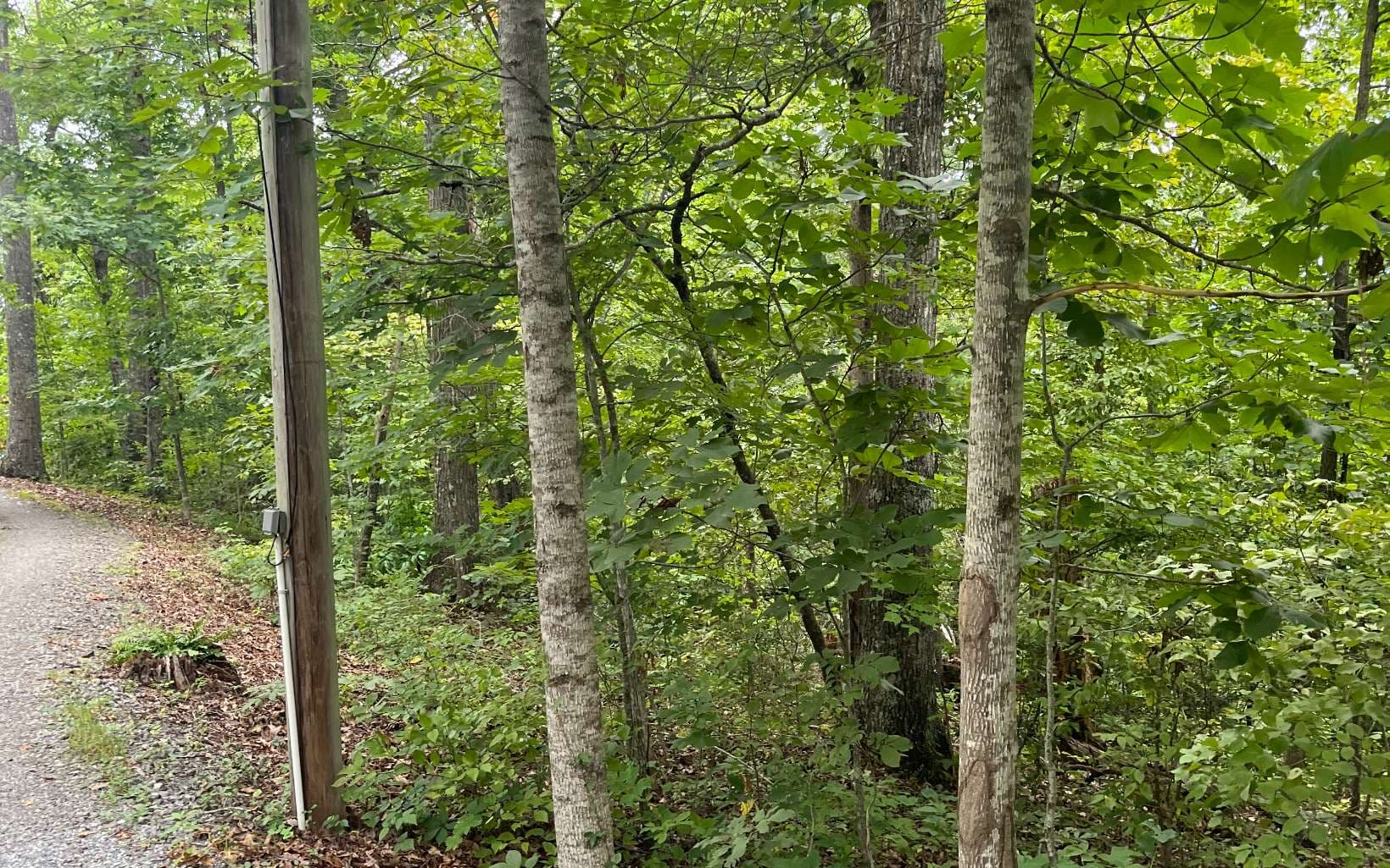 LOT 12 Kilpatrick Point Terrace, Hayesville NC 28904 - Photo