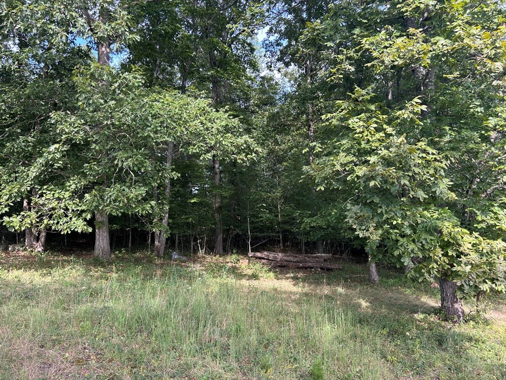 8ac Jimmy Nicholson Road, Blairsville GA 30512 - Photo