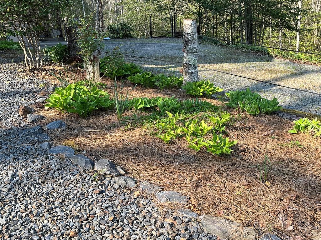3021 Hanging Dog Road, Murphy NC 28906 - Photo