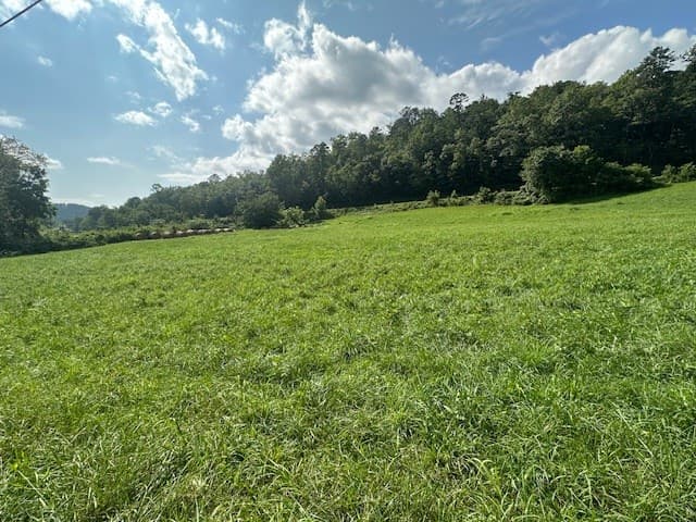 Tract 1A Thumping Creek Road, Hayesville NC 28904 - Photo