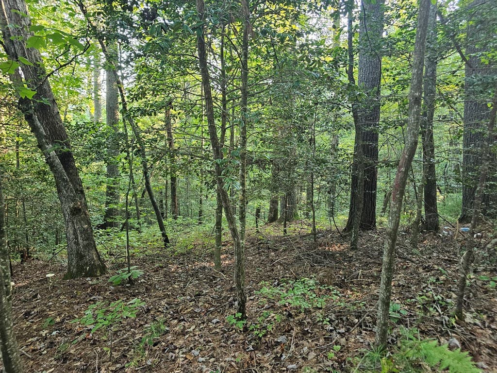 0 Bates Drive, Ellijay GA 30540 - Photo