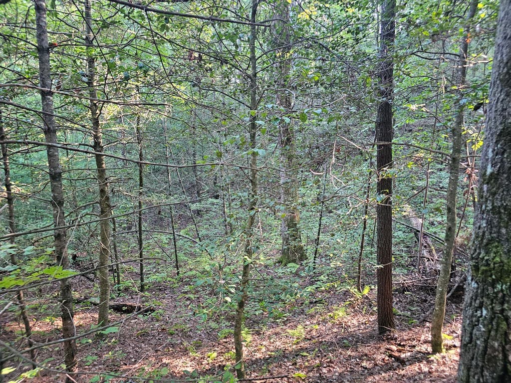 0 Bates Drive, Ellijay GA 30540 - Photo