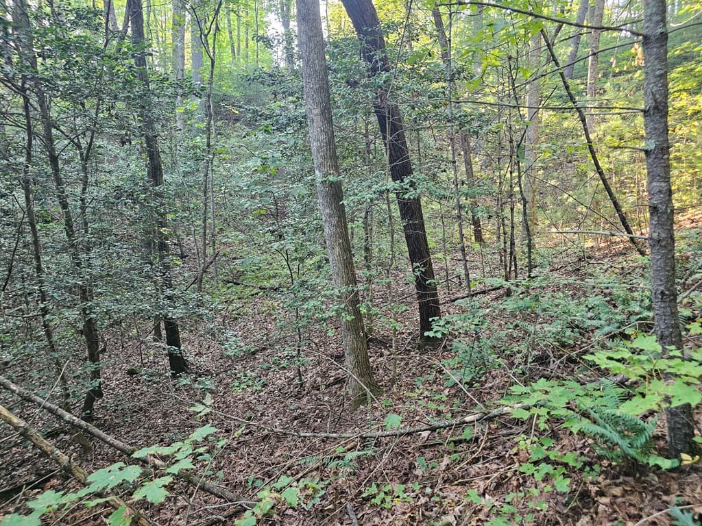 0 Bates Drive, Ellijay GA 30540 - Photo