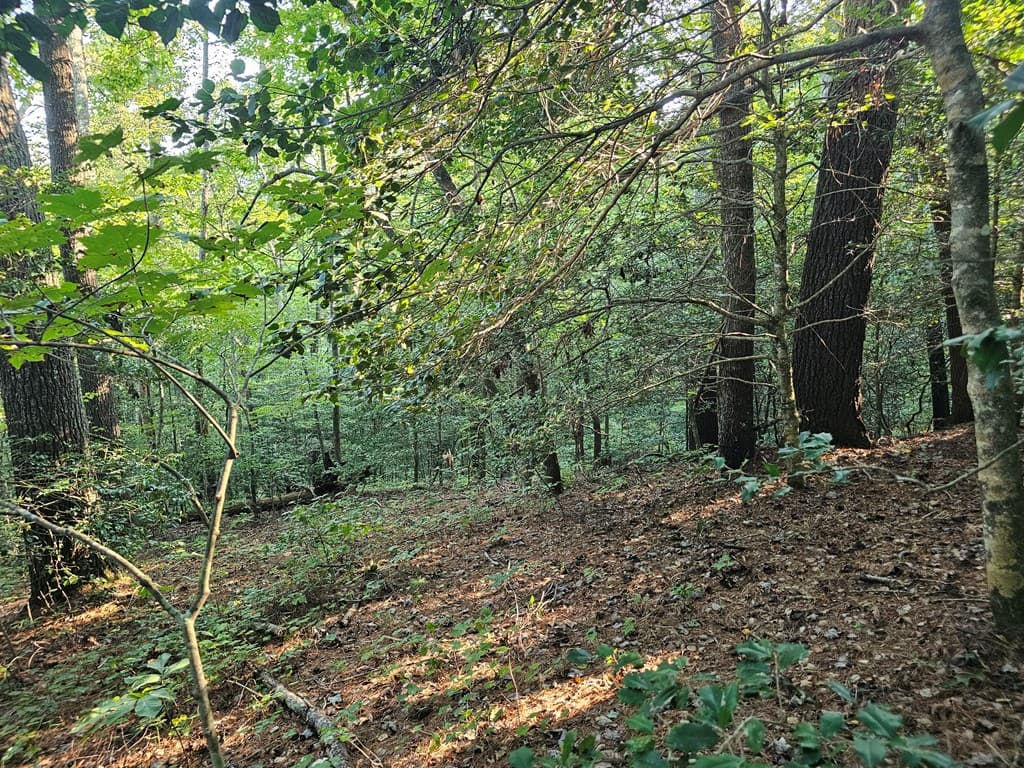 0 Bates Drive, Ellijay GA 30540 - Photo