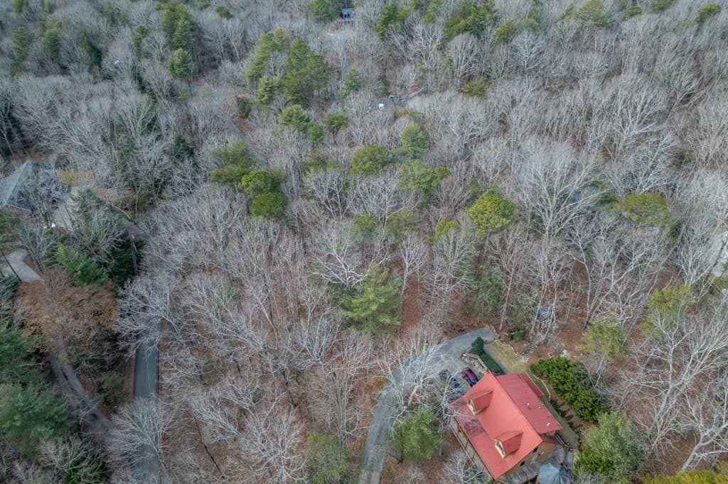 454, 455 Seneca Drive, Ellijay GA 30540 - Photo