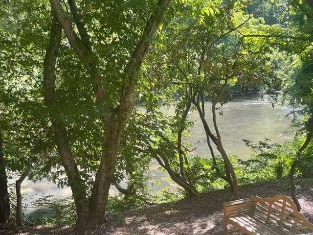 637 Riverside Drive, East Ellijay GA 30536 - Photo