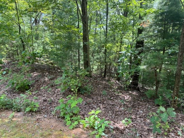14 Abbott Mill Road, Ellijay GA 30540 - Photo