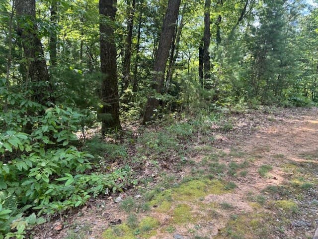 14 Abbott Mill Road, Ellijay GA 30540 - Photo